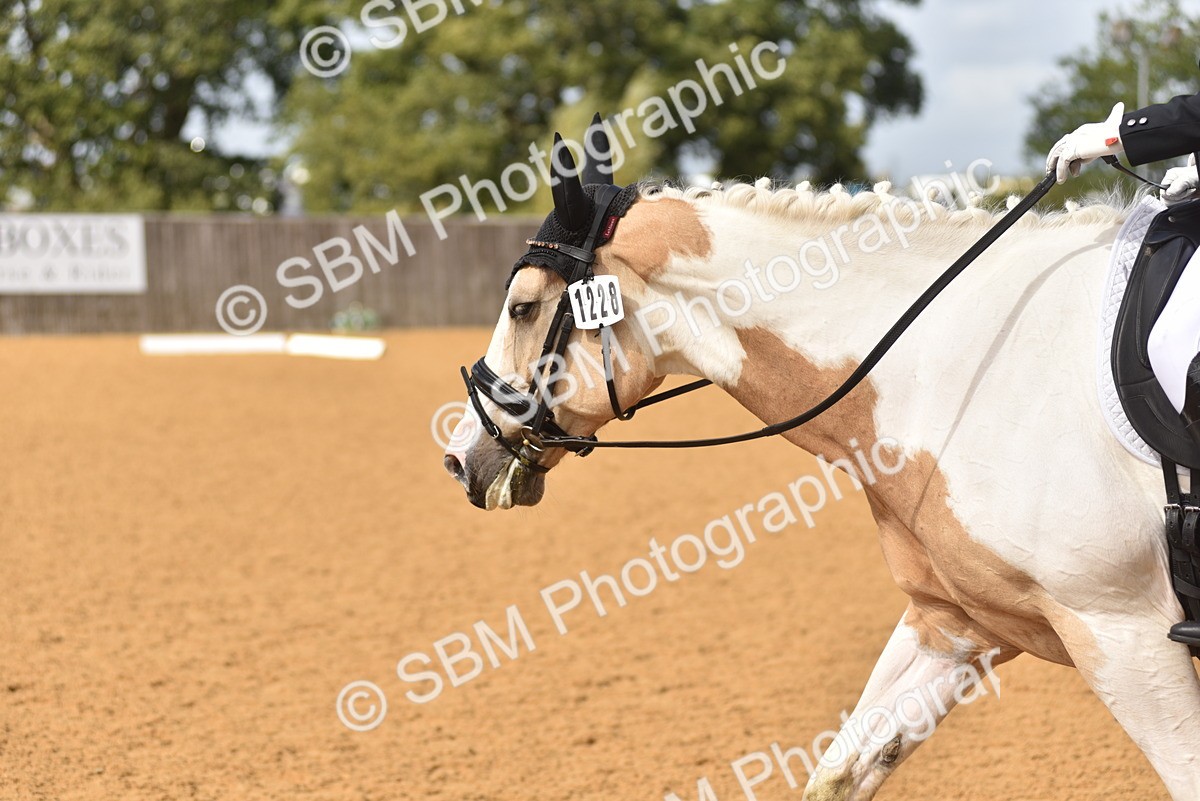 SBM_07770 - D15 - Small Tour Championship Novice 1