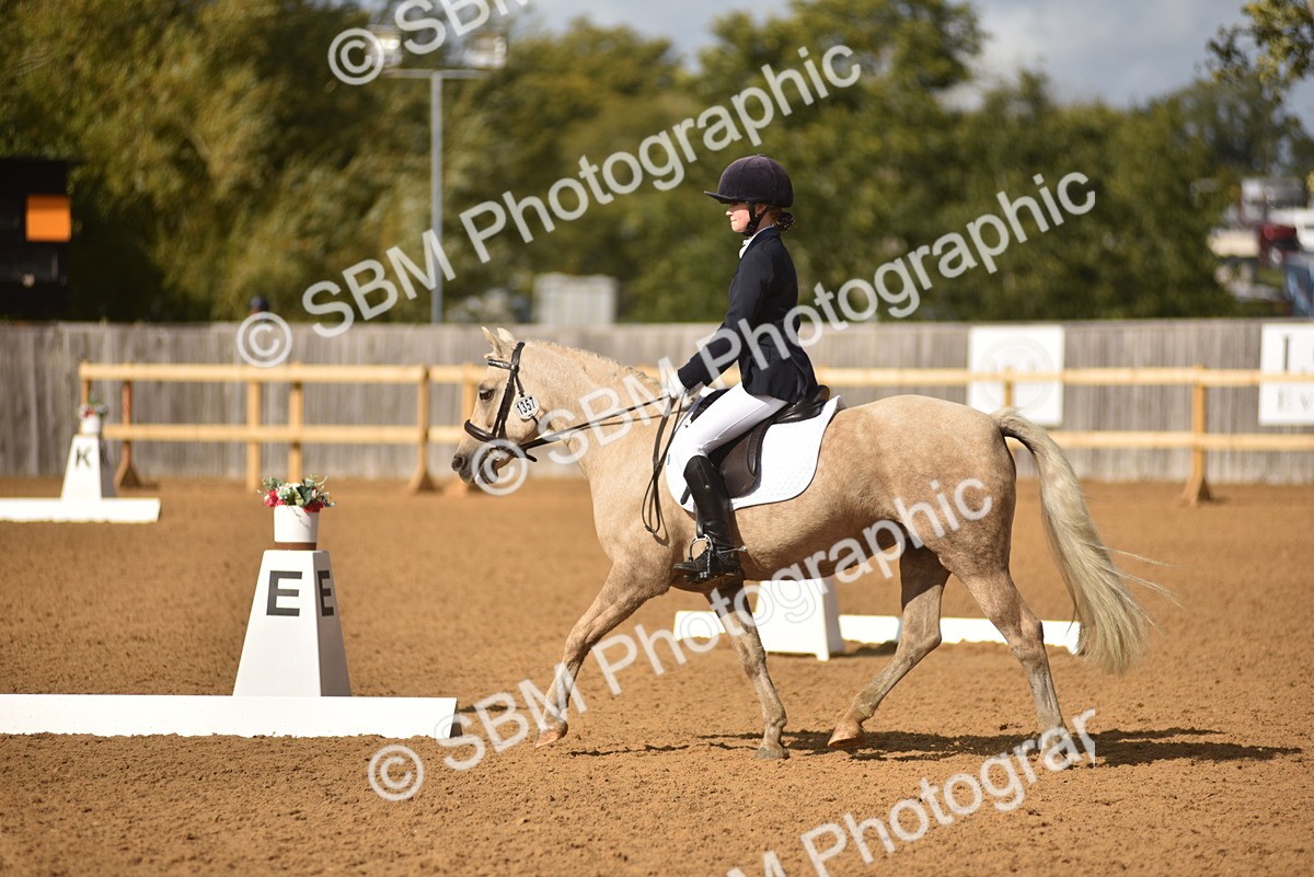SBM_48774 - D22 - Junior Championship Intro 3