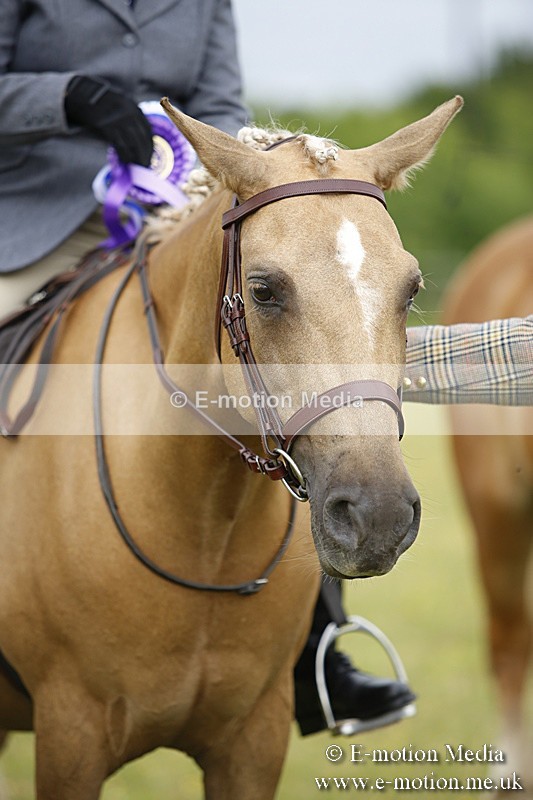 BVR160717-321 - Ring 1 BVRC Show 16/07/17