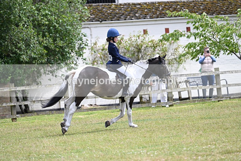 WJ7_9708 - Class 8 Ridden Veterans