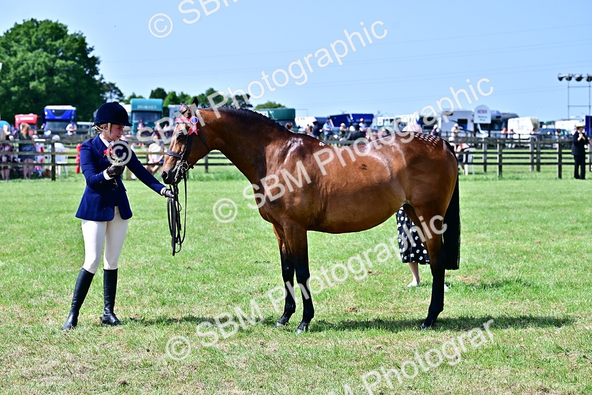 SBM_03864 - Class 58 - TSR  Ridden Veteran Amateur of the year