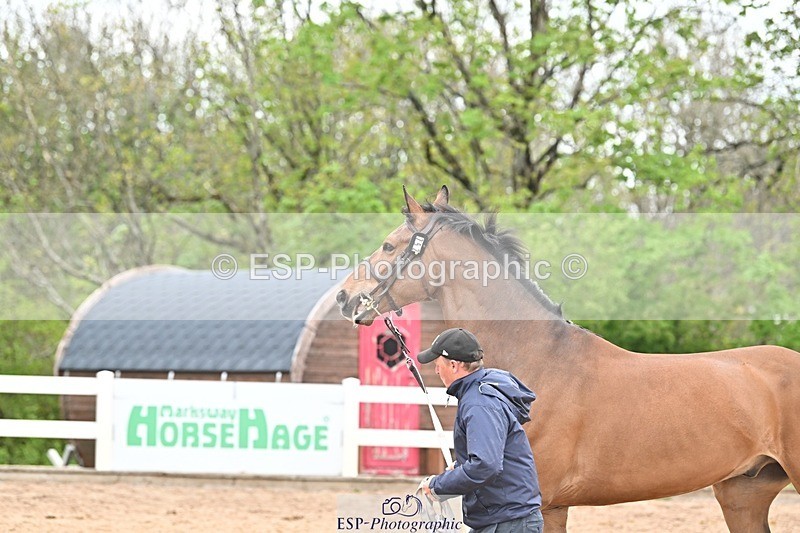 250423-163828-02226 - 4pm to 5pm