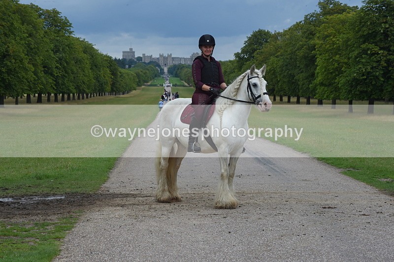 TT3_9441 - Time at Crossing 11:28 to 13:16