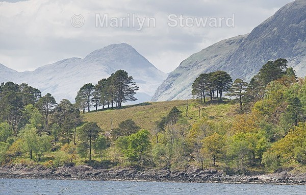 Loch Linnhe-5 - Scotland