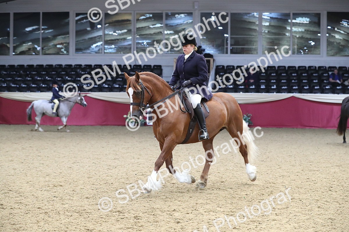 SBM_16364 - Class 502 M&M Ridden Supreme Final