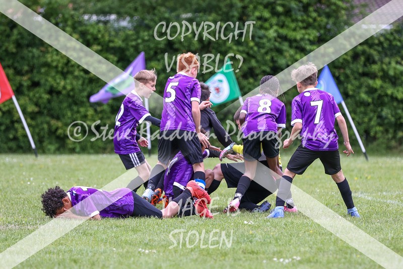 1DX31508 - Brook Field V Goddard Park