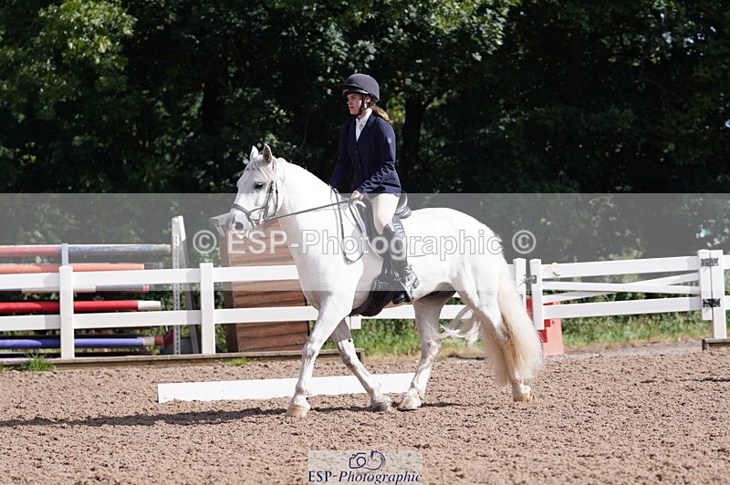 240809A-093210-00261 - Dressage Competition