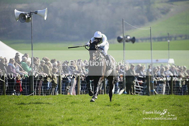 PtP 190322 510 - Wilton Hunt PtP Milborne St Andrew 19/03/22