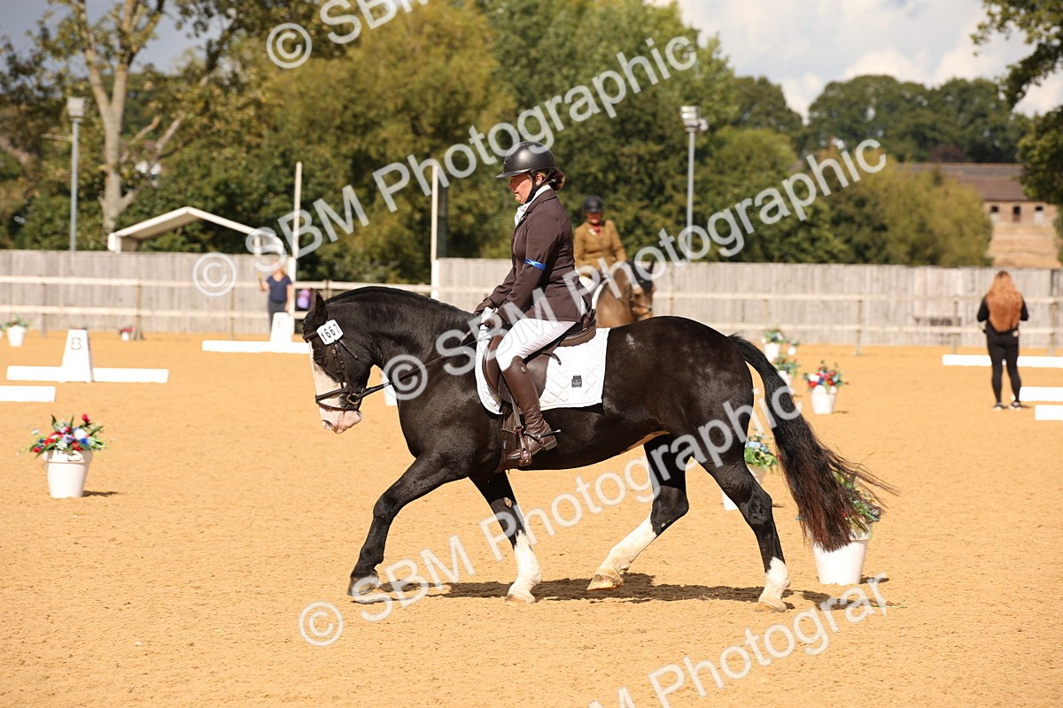 SBM_08888 - D8 Small Tour Championship Prelim 7