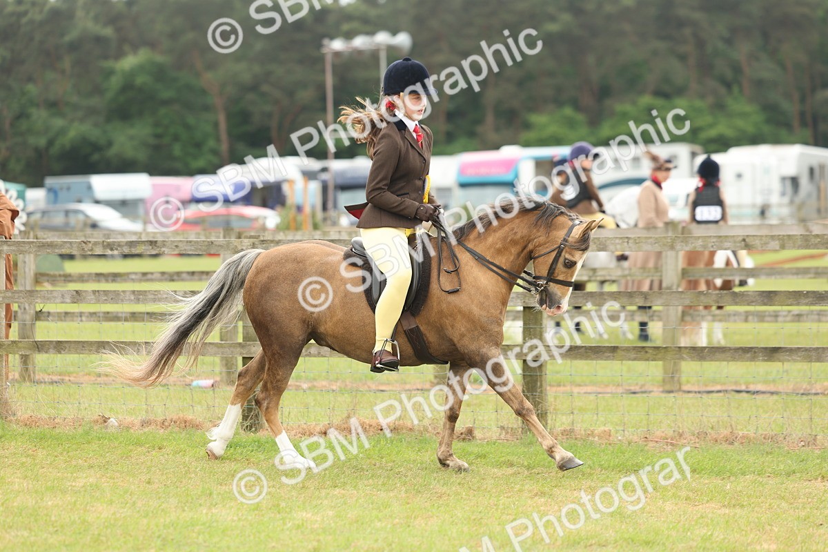 SBM_07152 - Class 76-77 - Ridden M&M Welsh Ponies
