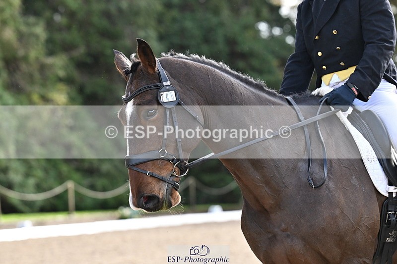 251023A-141807-05201 - C-246-Simon.Vatcher