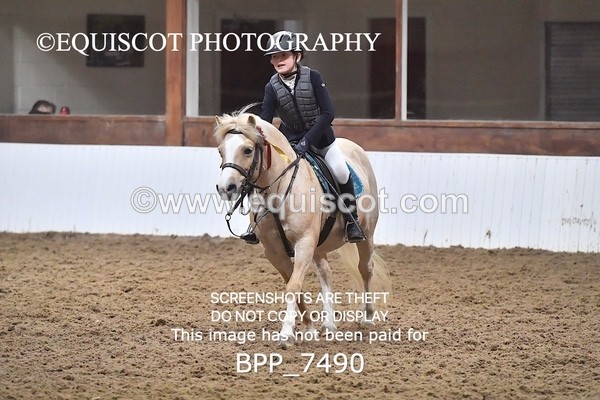 BPP_7490 - 40CM WORKING HUNTER