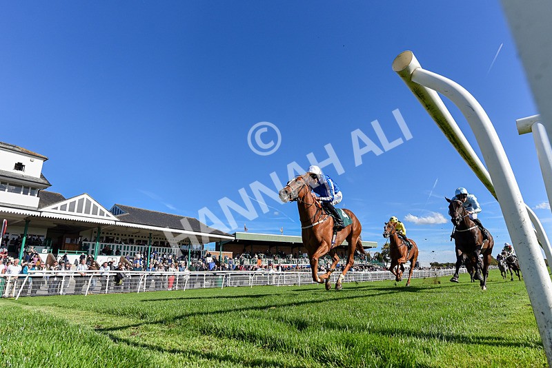 300926-Race 2-Gold Key-7707 - Race 2 2.32pm EBF Maiden Stakes