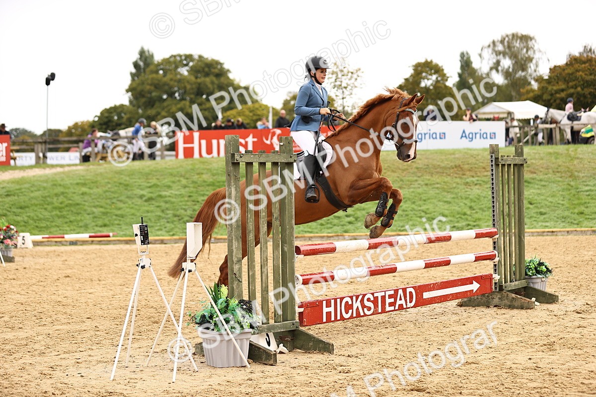 SBM_58520 - J41 - Grand Tour Horse & Pony 95cm