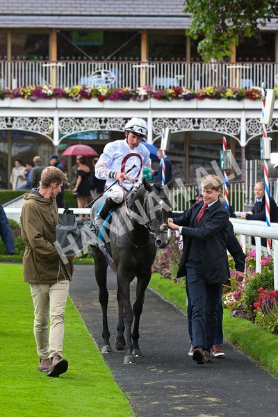 130724-Race 4-Alsakib-7505 - Race 4 3.45pm John Smith's Silver Cup Stakes