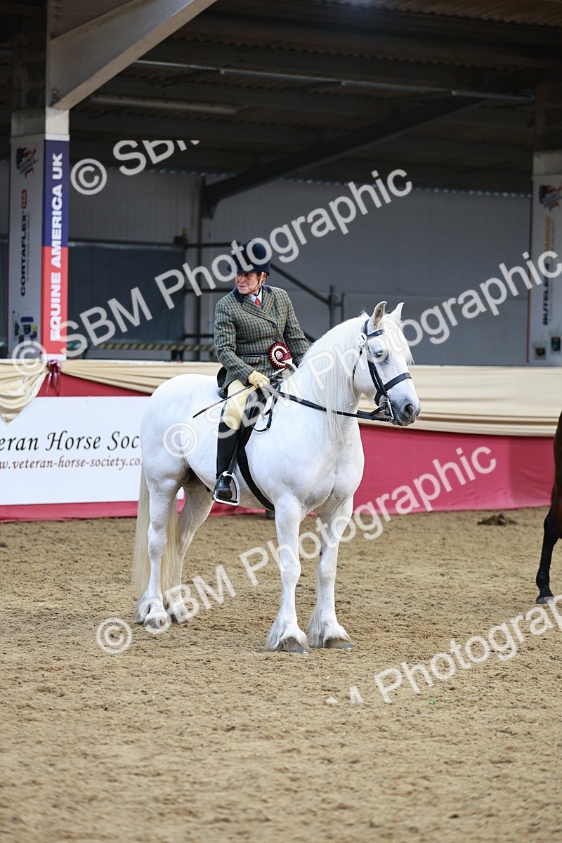 SBM_08684 - Regional Ridden Champ