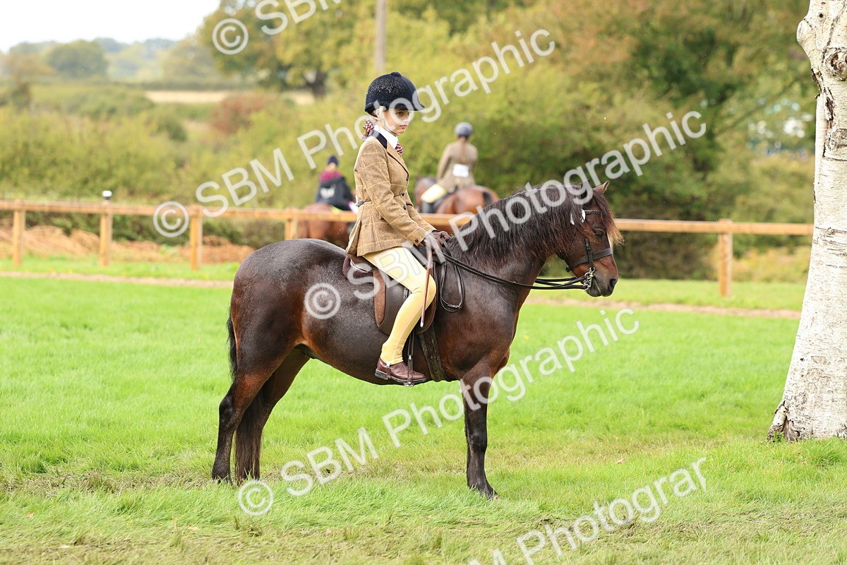 SBM_45101 - S27 - Young Veteran Ridden