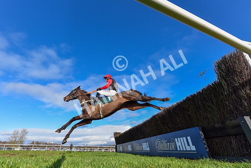 270224-Race 2-Prairie Wolf-1837 - Race 2