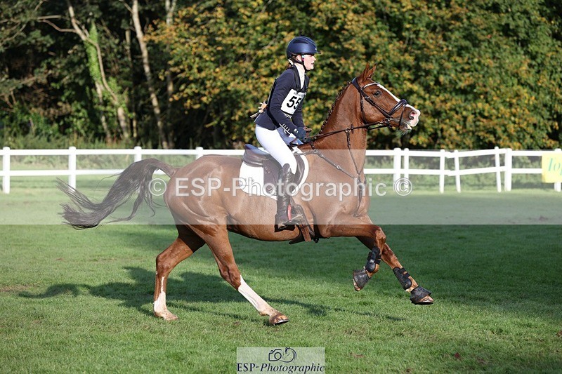 231022-160434-30092 - 556-SHANNONDALE.MOCHA-Lucy.Davies-TrotUp+SJ