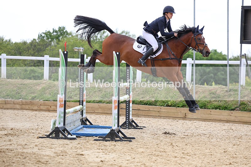 3E7A7621 - Class 8: Senior Foxhunter/1.20 open