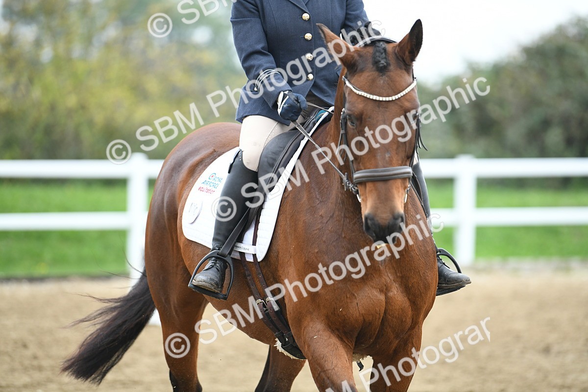 LAD_3904 - Novice Test 2