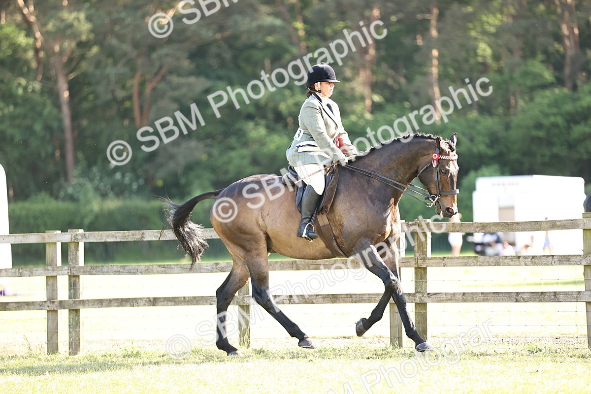 SBM_19783 - Class 87-88 - RIHS BSHA Riding Horses
