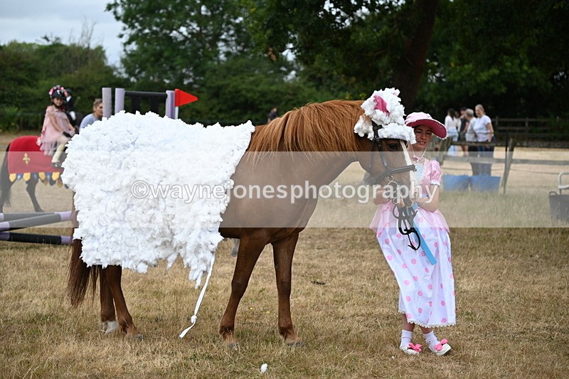 WJ6_8767 - Class 11 Fancy Dress