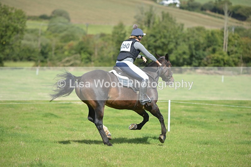 RAY_8882 - Class 2: Trekenning Open: Wall