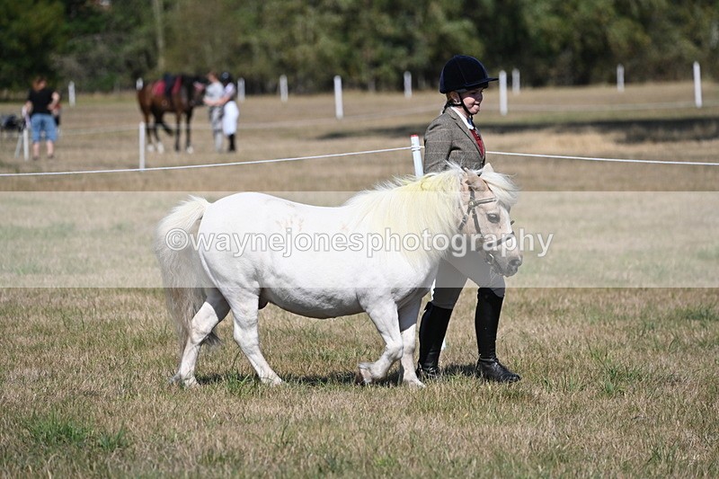 WJ6_4390 - Class 17 Mountain & Moorland