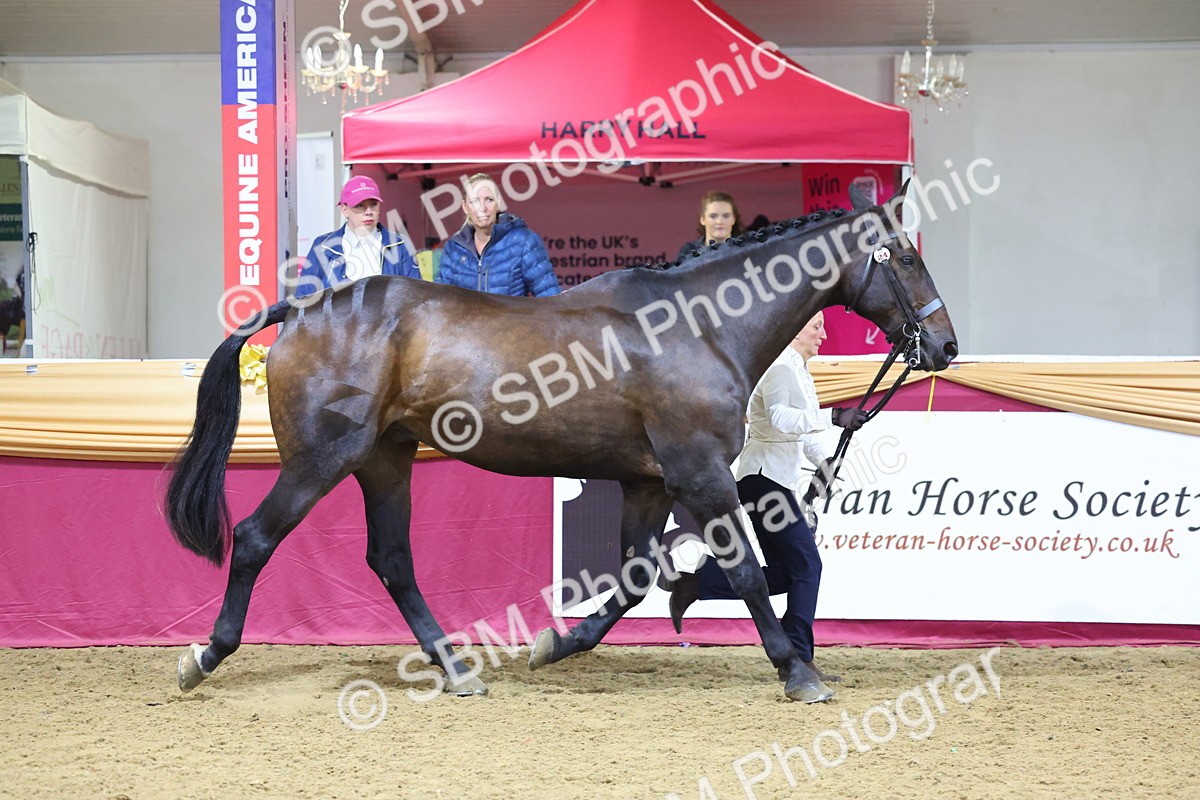 SBM_20774 - Class 902 - Supreme Final IH Veteran