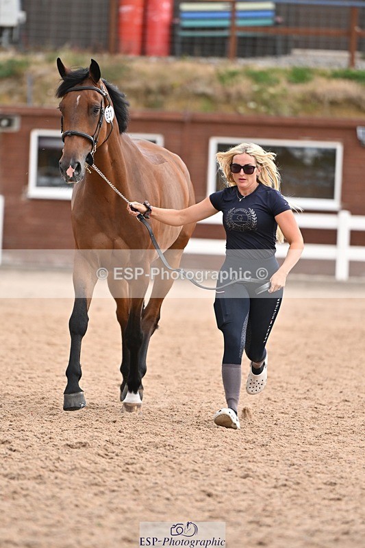 250716-145433-01495 - Trot Up 2.30 to 3.30