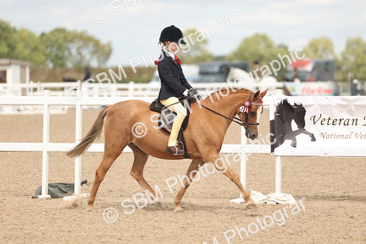 SBM_15964 - Class 311 - Ridden Show pony-Show hunter Pony