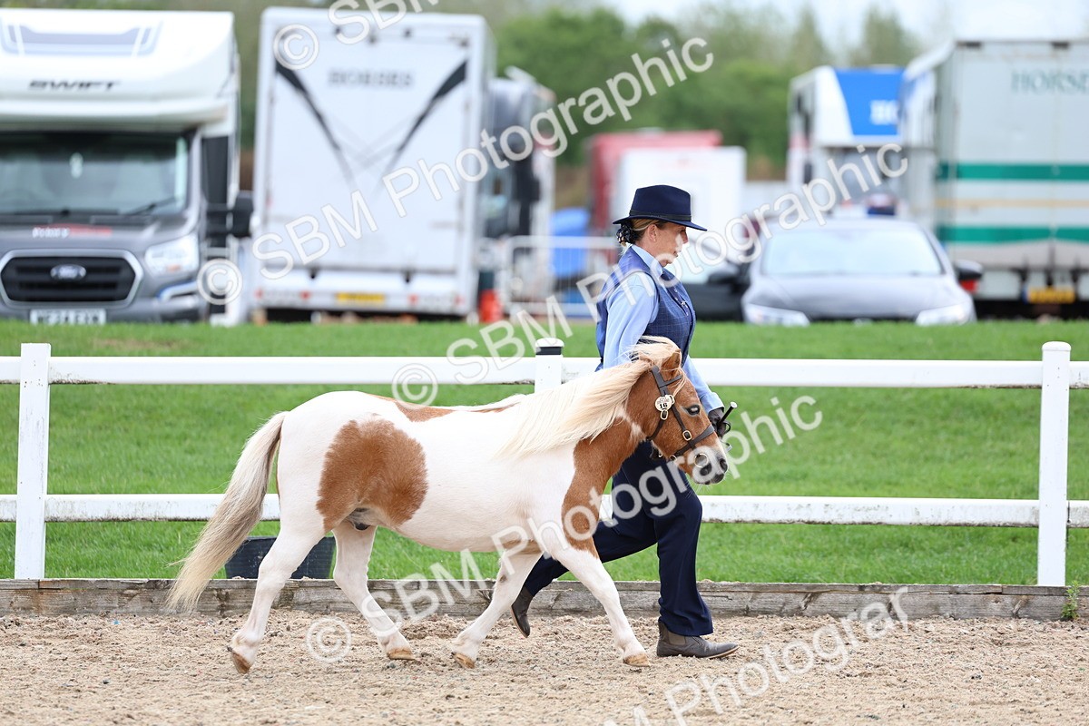 SBM_05876 - Class 29 - IH Veteran Pony