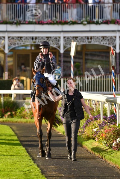 230923-Race 7-Two Brothers-7230 - Race 7 5.30pm Neil Atkinson's 60th Birthday Celebration Handicap
