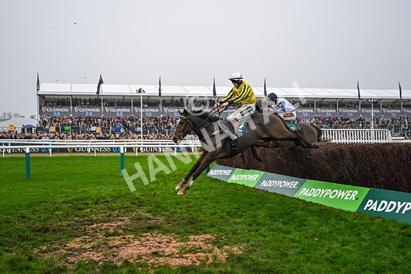 151125-Race 3-Burdett Road--3028 - Race 3
