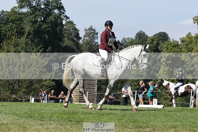 250823A-125908-29598 - Arena D