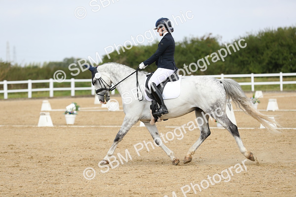 SBM_016407 - Class 13 - Novice 23 - 11.25-12.35