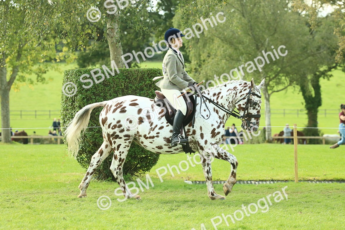 SBM_62417 - S62 - Foreign Breeds Ridden