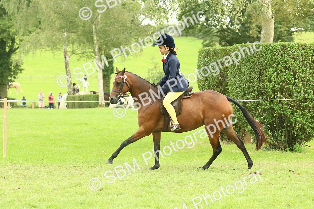 SBM_74031 - S 61 - Show Pony & Show Hunter Pony Ridden