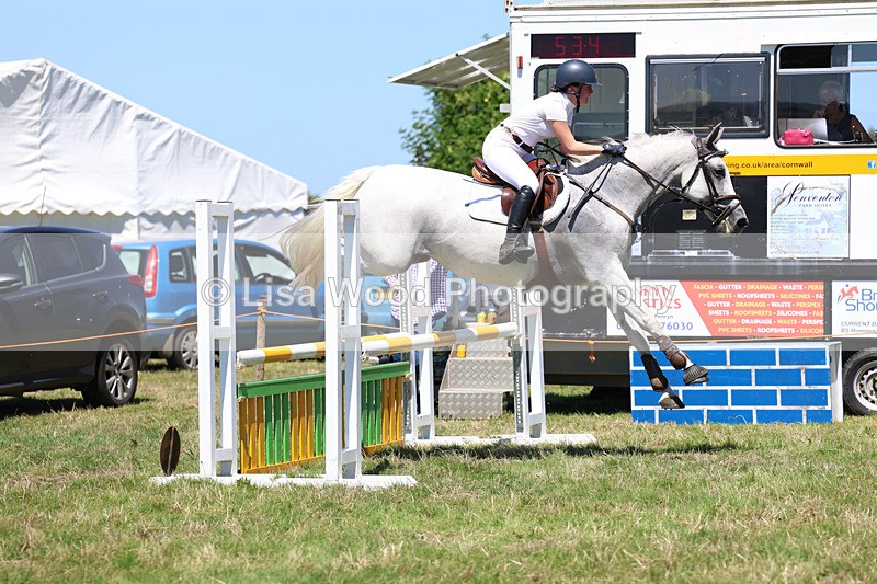 3E7A5631 - Class 9: Senior British Novice/90cm open