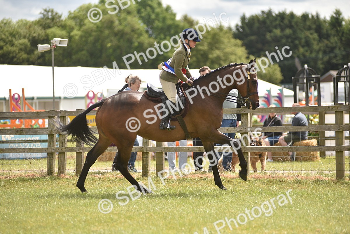 SBM_14296 - Class 113-114 - Retraining of Racehorses Ridden
