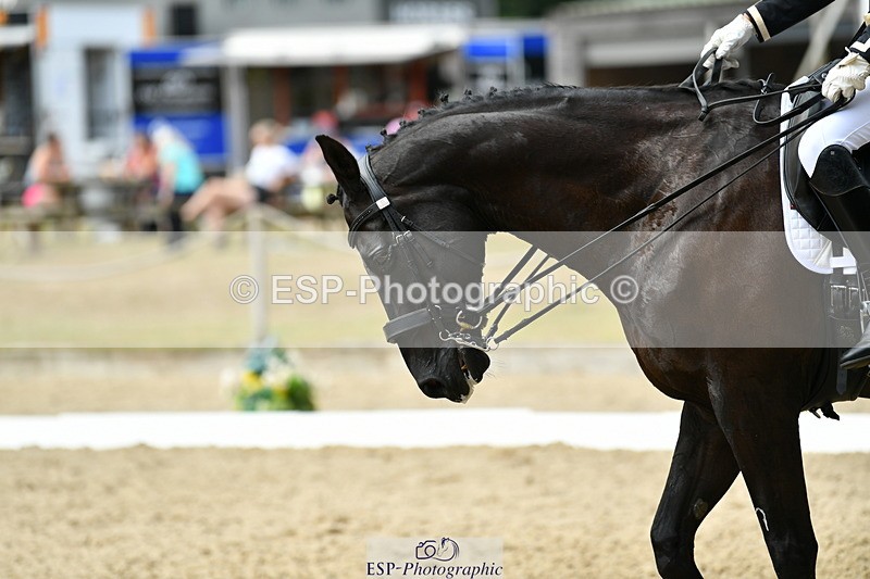 250718A-143426-02149 - 043-Jules.Praed-ENIGMA