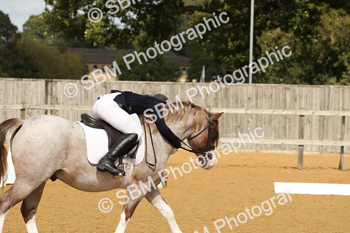 SBM_43713 - D21 - Junior Championship - Intro A
