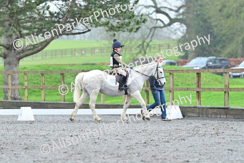 20260125-0890 - Class 9a - Walk Trot Assisted