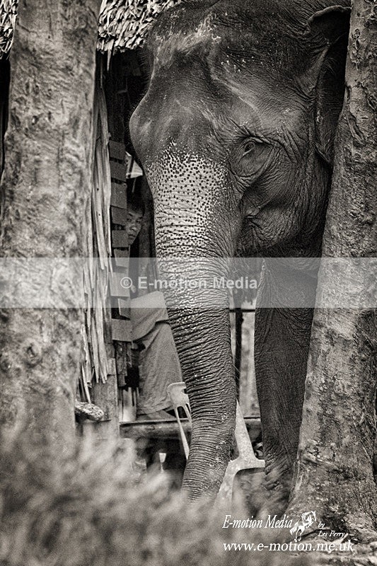 Krabi Oct03 242BW - B & W photography