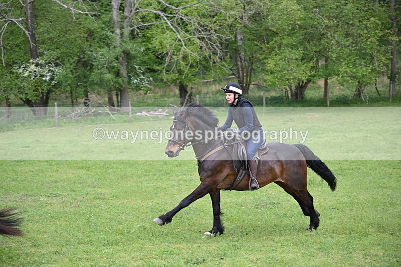 WJ6_2695 - A camera
