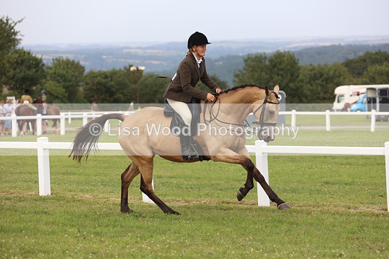 JPP_4436 - Class 26: Working Hunter 1m