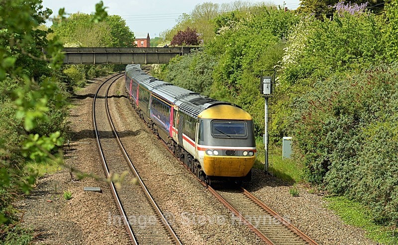8th May 2019 - Creech St. Michael, Somerset.