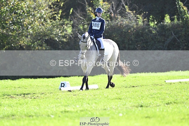 241025-143433-09689 - 388-Anaya.Stoneman-DUNTOATEE