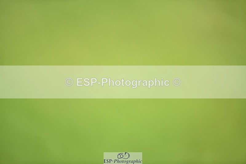 240605-151854-01255 - Cls 10 Adv Medium 98 SQ